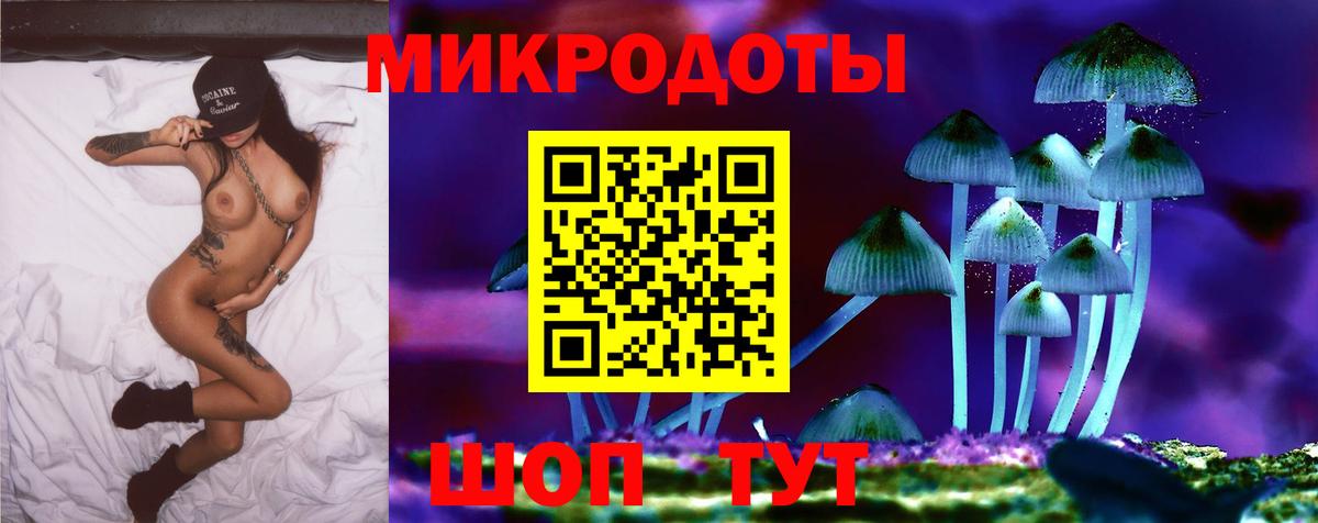 как найти наркотики  Псилоцибиновые грибы Psilocybe  Вход с VPN  Керчь 